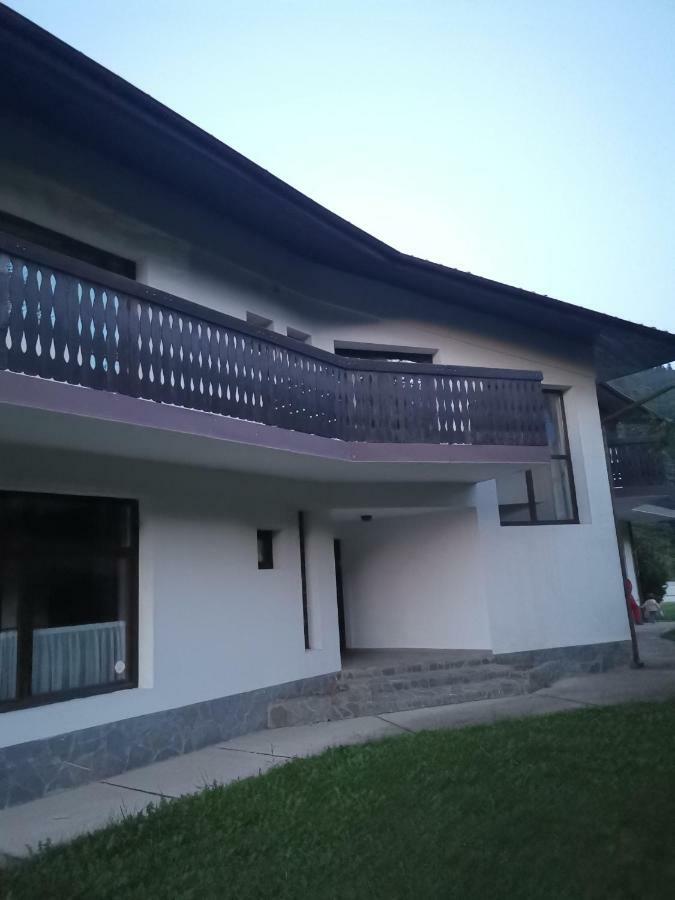 Pensiunea Raisa Busteni Exterior photo
